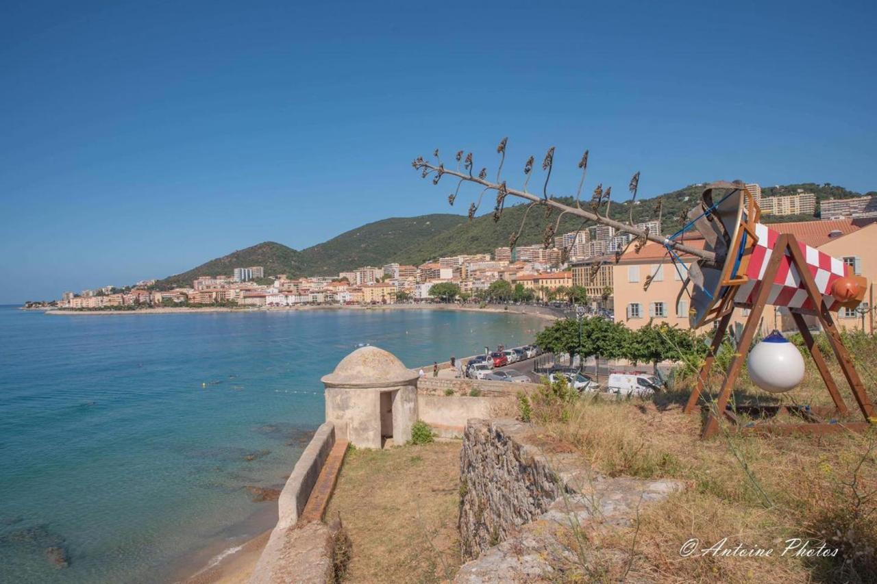 Centre Appartement Ajaccio (Corsica)